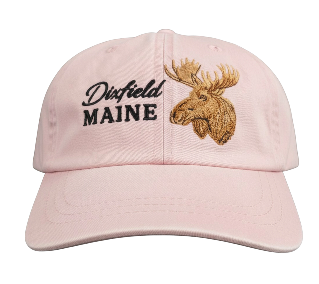 Dailey Woodworking light pink cotton dad hat featuring a brown embroidered moose and Dixfield, Maine text.